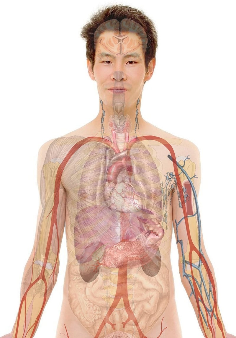 Body Awareness Practices